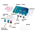 Набор для опытов «Эпоксидная смола», шкатулка - фото 24425344