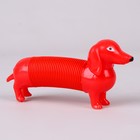 Развивающая игрушка «Собачка», цвета МИКС - фото 319101224