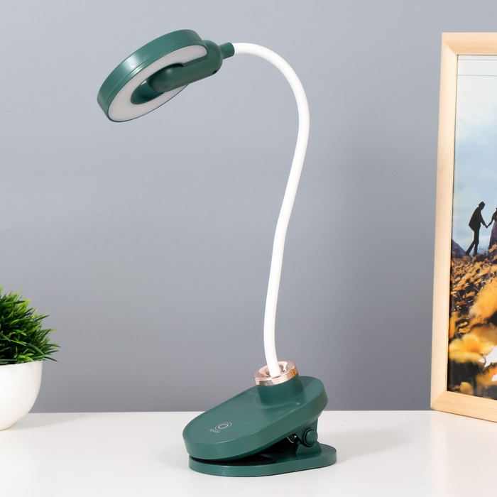 Настольная лампа на прищепке &quot;Блум&quot; LED 3Вт АКБ USB зеленый 8х12х42,5 см RISALUX