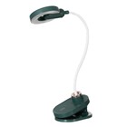 Настольная лампа на прищепке "Блум" LED 3Вт АКБ USB зеленый 8х12х42,5 см RISALUX - фото 21849575