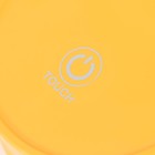 Настольная лампа на прищепке "Блум" LED 3Вт АКБ USB оранжевый 8х12х42,5 см RISALUX - фото 21849586