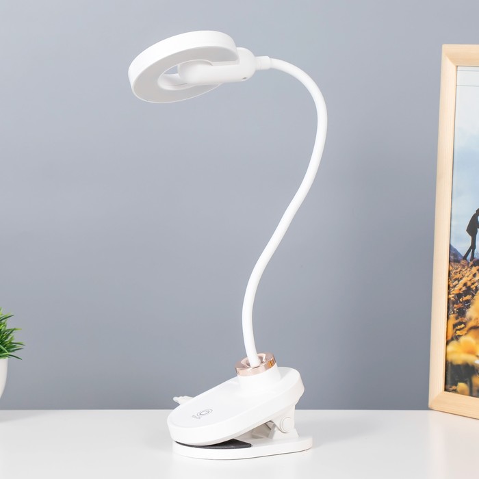 Настольная лампа на прищепке "Блум" LED 3Вт АКБ USB белый 8х12х42,5 см RISALUX - фото 1907550729