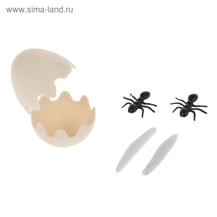 Прикол "Яйцо" с червями, пауками - Фото 1