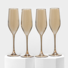 Набор стеклянных бокалов для шампанского «Золотой мёд», 160 мл, 4 шт - фото 6313692