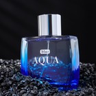 Туалетная вода мужская Blue Aqua, 100 мл 9303735 - фото 2404639