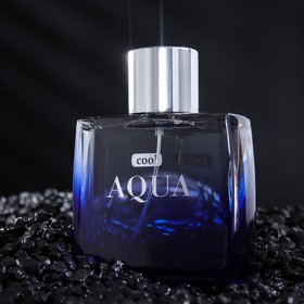 

Туалетная вода мужская Cool Aqua, 100 мл