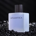 Парфюмерная вода унисекс Silver Moon, 100 мл 9303751