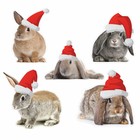 Наклейка автомобильная "Кролик в новогодней шапке", 100 х 100 мм, 5 видов - фото 292783914