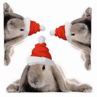 Наклейка автомобильная "Кролик в новогодней шапке", 150 х 150 мм, вид 1 - фото 291488826