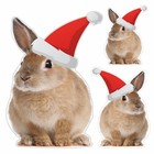 Наклейка автомобильная "Кролик в новогодней шапке", 250 х 250 мм, вид 2 - фото 291488832