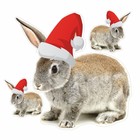 Наклейка автомобильная "Кролик в новогодней шапке", 250 х 250 мм, вид 3 - фото 291488833