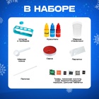 Набор для опытов «Новогодние истории», 10 опытов - Фото 3