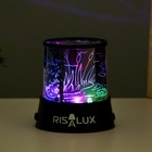 Ночник-проектор «Квакушки» LED USB/от батареек черный 10.8×10.8×11.5 см RISALUX - Фото 5