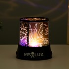 Ночник-проектор «Квакушки» LED USB/от батареек черный 10.8×10.8×11.5 см RISALUX - Фото 6