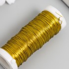 Проволока для творчества "Золото" 30 метров, толщина 0,3 мм 5,5х2,2х2,2 см - Фото 3