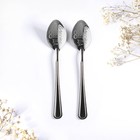 Ложки чайные парные «Тому, кто мне важен и дорог», 2 шт., 15.5×25.5 см - Фото 3