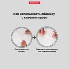 Обложка ПП 212х395мм, 80мкм, ErichKrause "Fizzy Clear", для тетрадей и дневников, с клеевым краем и увеличенным клапаном 9304259 - фото 5021943
