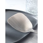 Лопатка из нержавеющей стали «Эко», длина 37,3 см - фото 26941404