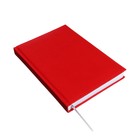 Ежедневник датированный 2024 года А5 168 листов "Вивелла", Красный - фото 25431367