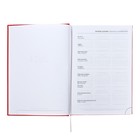 Ежедневник датированный 2024 года А5 168 листов "Вивелла", Красный - фото 25431369