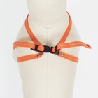 Шлейка "Рекс" светоотражающая, 1 см, ОШ 45-65 см, ОГ 50-70 см, оранжевая - фото 40672312