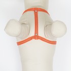 Шлейка "Рекс" светоотражающая, 1 см, ОШ 45-65 см, ОГ 50-70 см, оранжевая - фото 40672313