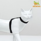 Шлейка для кошек, ширина 1 см, светоотражающий, ОШ 16,5-27 см, ОГ 21-35 см, чёрный - фото 302818141