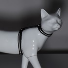 Шлейка для кошек, ширина 1 см, светоотражающий, ОШ 16,5-27 см, ОГ 21-35 см, чёрный - Фото 6