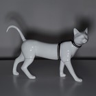Шлейка для кошек, ширина 1 см, светоотражающий, ОШ 16,5-27 см, ОГ 21-35 см, чёрный - Фото 7