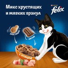 Сухой корм Felix "Двойная вкуснятина", для кошек,  птица, 1.3 кг - фото 9802292
