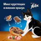 Сухой корм Felix «Двойная вкуснятина», для кошек, птица, 1.3 кг - Фото 3