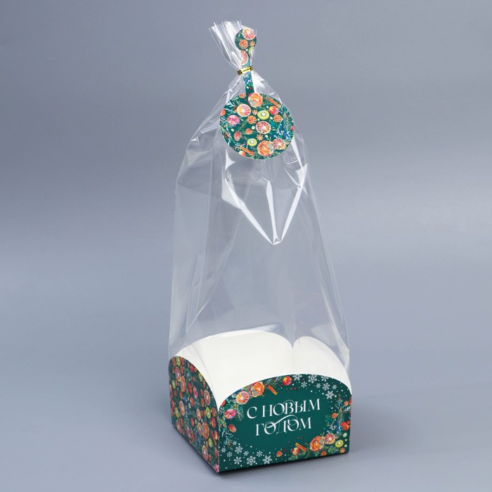 Пакет с коробкой «Новогодняя ботаника», 12 × 12 × 40 см - Фото 1
