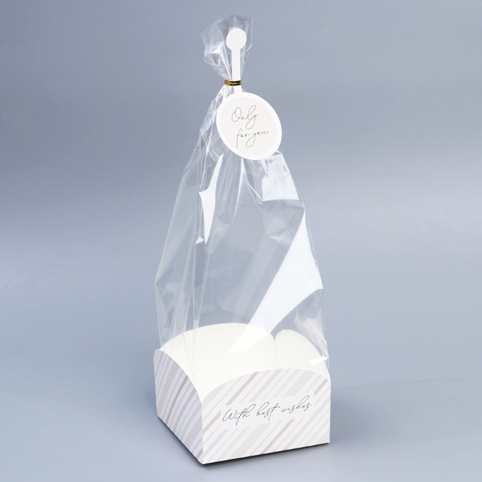 Пакет подарочный с коробкой, упаковка, «С наилучшими пожеланиями», 12 х 12 х 40 см - Фото 1