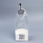 Пакет подарочный с коробкой, упаковка, «You are best», 12 х 12 х 40 см - Фото 2