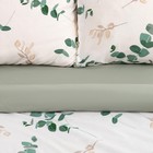 Постельное бельё Этель Дуэт «Эвкалипт» (вид 1) 143х215 см - 2 шт, 220х240 см, 70х70 см -2 шт, поплин 125 г/м² 9136110 - фото 14289039