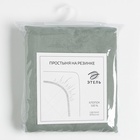 Простыня на резинке 2-спальная «Этель», 180×200+25 см, зелёная, поплин 9241701