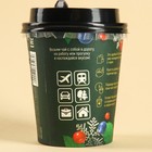 Чай новогодний в пирамидке «Ароматного Нового года», вкус: таежный чай, 3 г - Фото 6