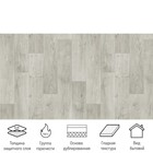 Линолеум бытовой Stimul Riga Rd 4, ширина 2.5 м, длина 2 м, толщина 2.1 мм, 5 м² - Фото 2