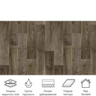 Линолеум бытовой Stimul Riga Rd5, ширина 3 м, длина 4 м, толщина 2.1 мм, 12 м² - Фото 3