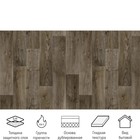 Линолеум бытовой Stimul Riga Rd5, ширина 3 м, длина 5.5 м, толщина 2.1 мм, 16.5 м² - Фото 2