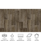 Линолеум бытовой Stimul Riga Rd5, ширина 4 м, длина 2.5 м, толщина 2.1 мм, 10 м² - Фото 3