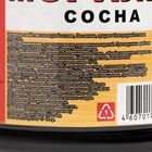 Морилка водная Вершина «Сосна», 0.5 л - Фото 2