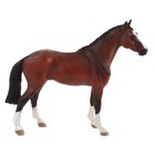 Голландская теплокровная лошадь - фото 10046816