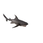 Фигурка Konik «Большая белая акула, делюкс» - фото 50912231