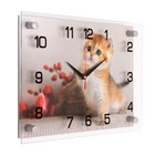 Часы настенные, интерьерные "Золотой котенок", бесшумные, 25 х 35 см - фото 9766136