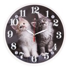 Часы настенные, интерьерные "Домашние любимцы", d-30 см, бесшумные - фото 319107919