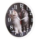 Часы настенные, интерьерные "Домашние любимцы", d-30 см, бесшумные - фото 9766139