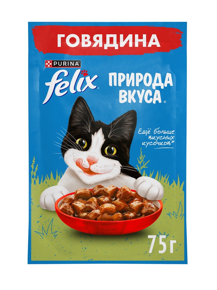 Влажный корм Felix Природа вкуса для кошек, говядина, 75 г - Фото 1
