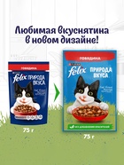 Влажный корм Felix Природа вкуса для кошек, говядина, 75 г - Фото 4