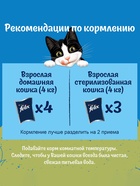 Влажный корм Felix Природа вкуса для кошек, говядина, 75 г - Фото 9
